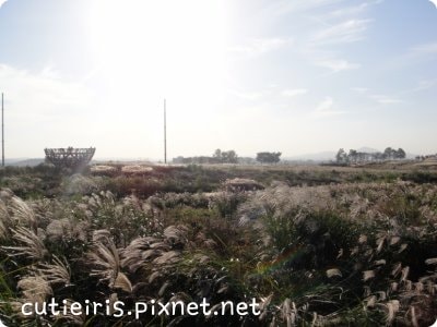 20250224-vbbep