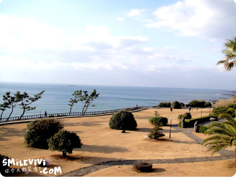 20250224-wit5d 20250224-wit5d
