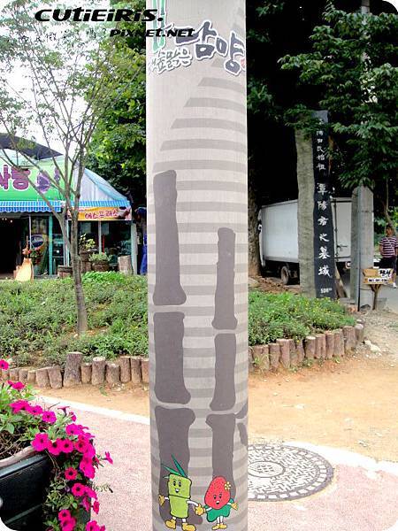 20250224-mn0x1 20250224-mn0x1