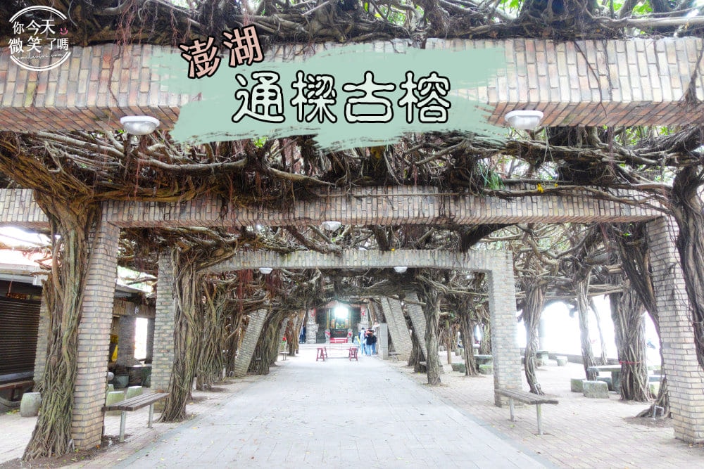 20250225-zzarg