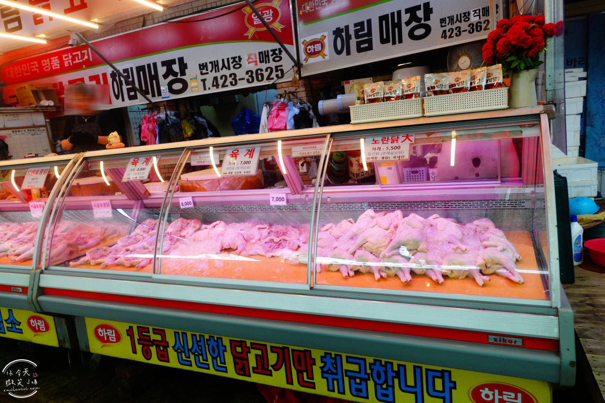 大邱景點∥大邱閃電市場(번개시장)，韓國傳統市場︱︱大邱站旁傳統市場，蔬菜、水果、生鮮、大蒜、醬料等大量販售︱大邱傳統市場︱大邱景點 22 Beongae Market 23