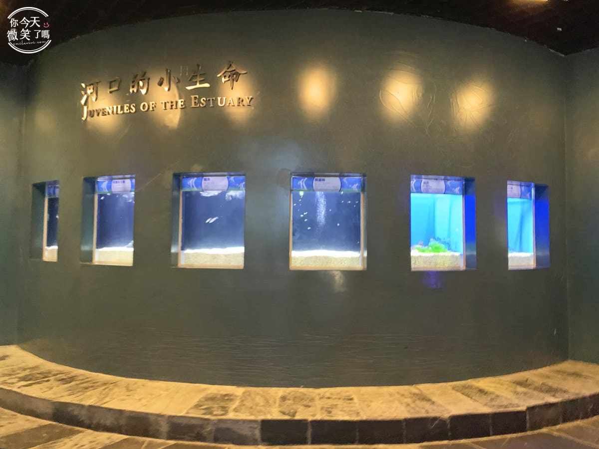 屏東墾丁景點∥國立海洋生物博物館全攻略，海生館折扣票︱海底生物、親子景點、海底隧道︱企鵝館、沉船探險、觸摸生物體驗，多樣海底生物海生館︱屏東景點︱屏東觀光 83 nmmba 82