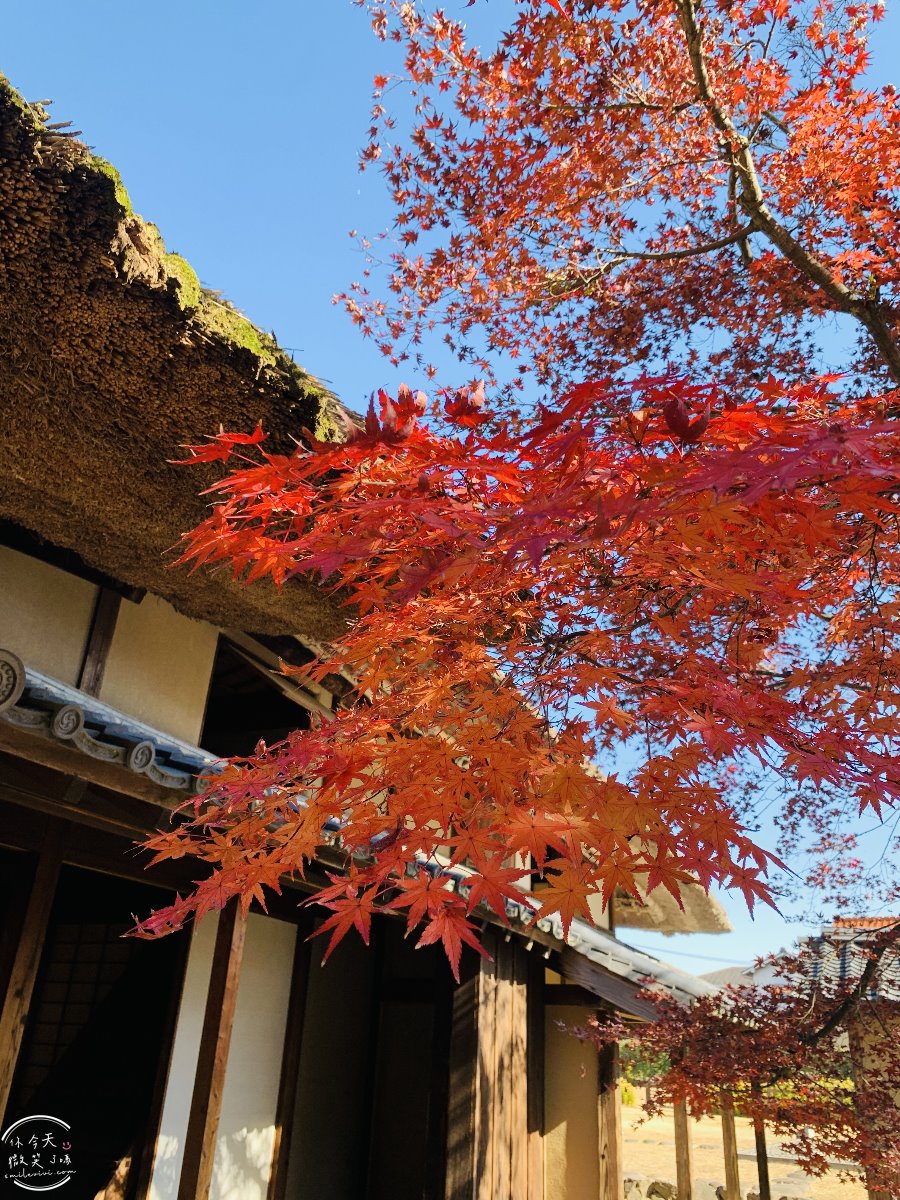 日田咸宜園跡∥不花一分錢!日田免費景點,江戶時代的儒家、教育家廣瀬的學堂︱江戶時期的建築,免費開放參觀︱日田景點觀光 - 第21張圖