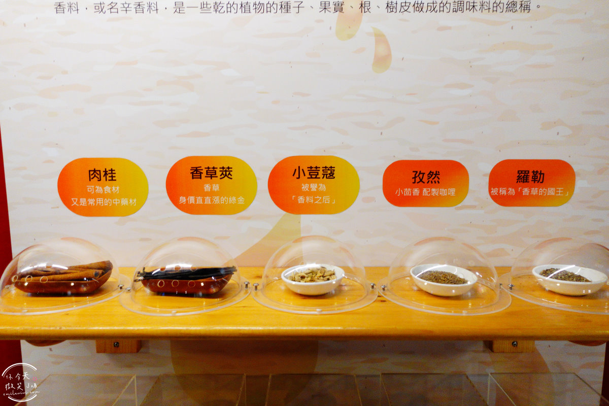 台灣優格餅乾學院∥免費入場的甜蜜樂園!School of cookie,親子DIY,餅乾觀光工廠免費參觀︱餅乾觀光工廠,餅乾伴手禮︱彰化景點 - 第15張圖