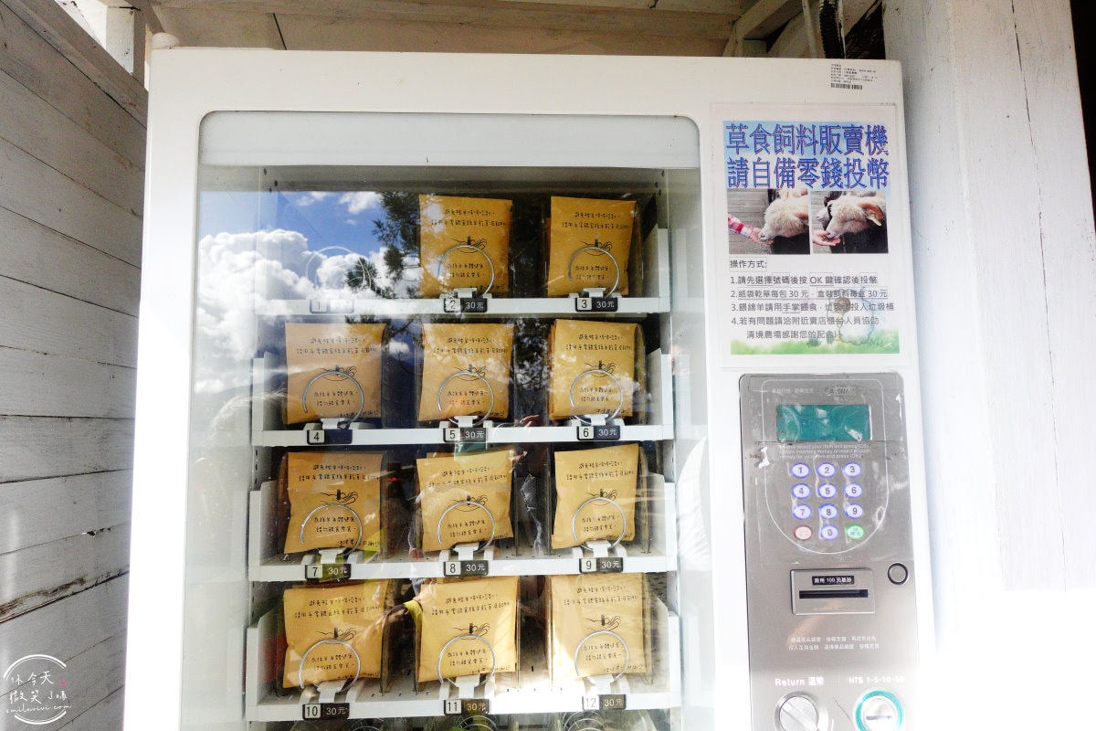 南投清境農場∥告別城市喧囂!清境農場青青草原一日遊讓你忘憂,絕美景致讓你拍不完,和羊咩咩一起玩耍︱南投絕美景點 - 第12張圖