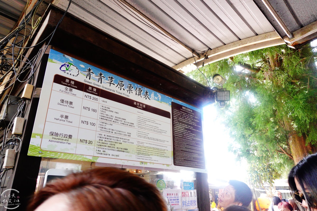 南投清境農場∥告別城市喧囂!清境農場青青草原一日遊讓你忘憂,絕美景致讓你拍不完,和羊咩咩一起玩耍︱南投絕美景點 - 第29張圖