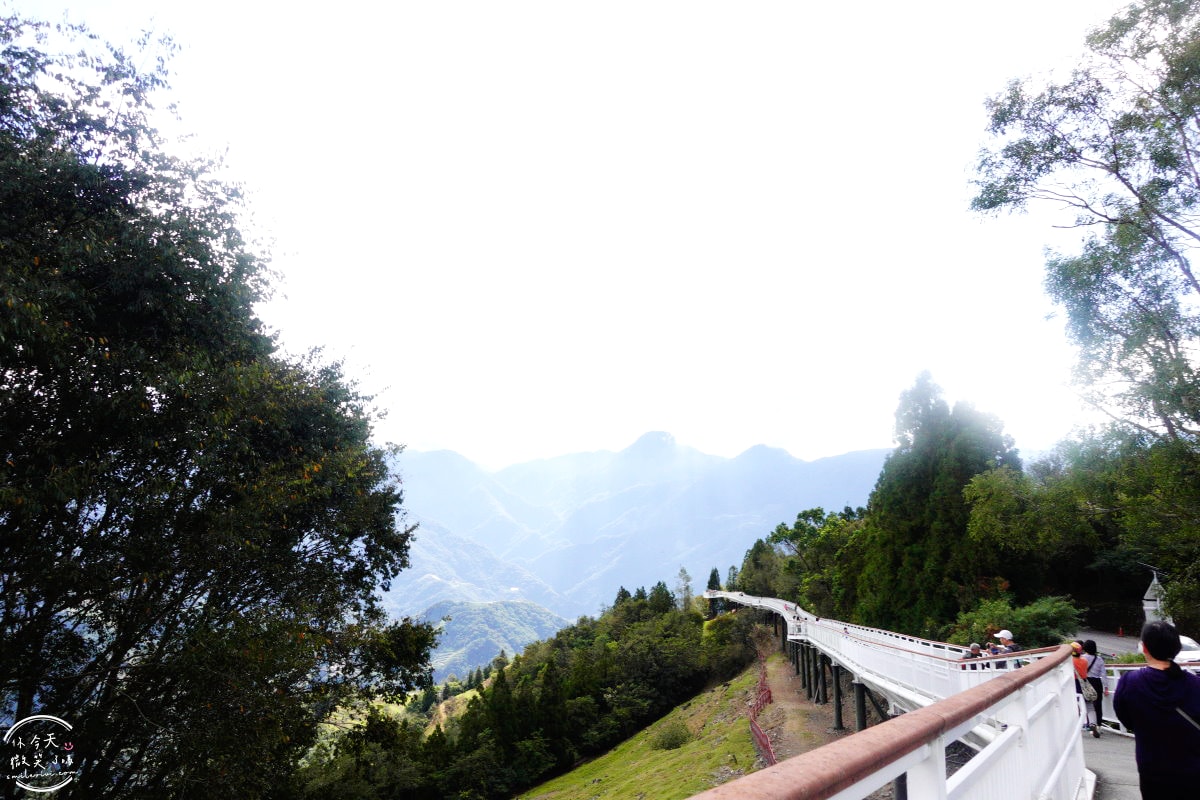 清境高空觀景步道∥漫步雲端,360度絕美視野,壯麗山景盡收眼底!步入夢幻仙境,全長1.2公里浪漫步道 - 第11張圖
