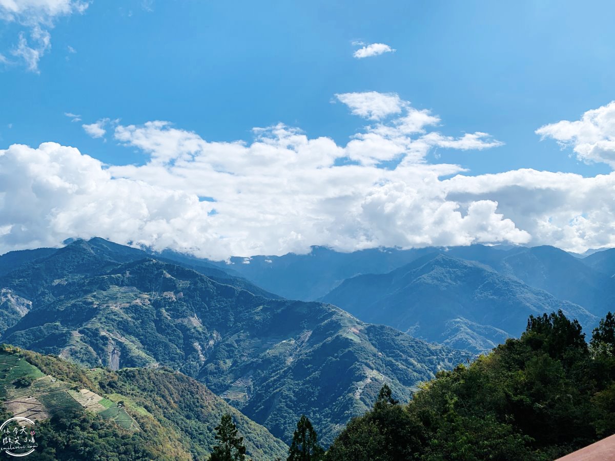 清境高空觀景步道∥漫步雲端,360度絕美視野,壯麗山景盡收眼底!步入夢幻仙境,全長1.2公里浪漫步道 - 第12張圖
