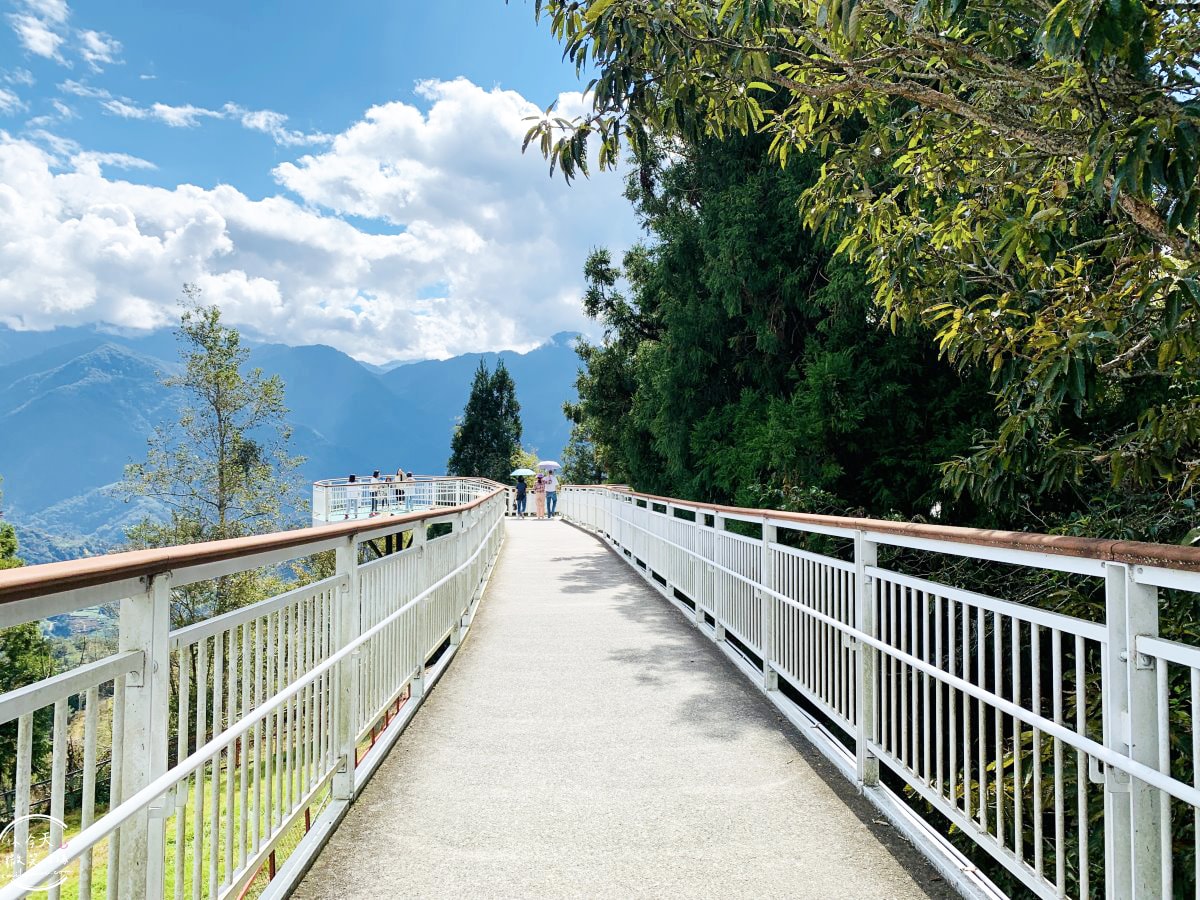 清境高空觀景步道∥漫步雲端,360度絕美視野,壯麗山景盡收眼底!步入夢幻仙境,全長1.2公里浪漫步道 - 第14張圖