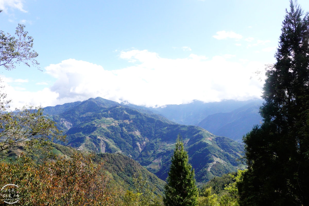 清境高空觀景步道∥漫步雲端,360度絕美視野,壯麗山景盡收眼底!步入夢幻仙境,全長1.2公里浪漫步道 - 第15張圖