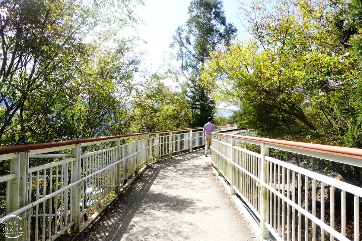 清境高空觀景步道∥漫步雲端,360度絕美視野,壯麗山景盡收眼底!步入夢幻仙境,全長1.2公里浪漫步道 - 第16張圖