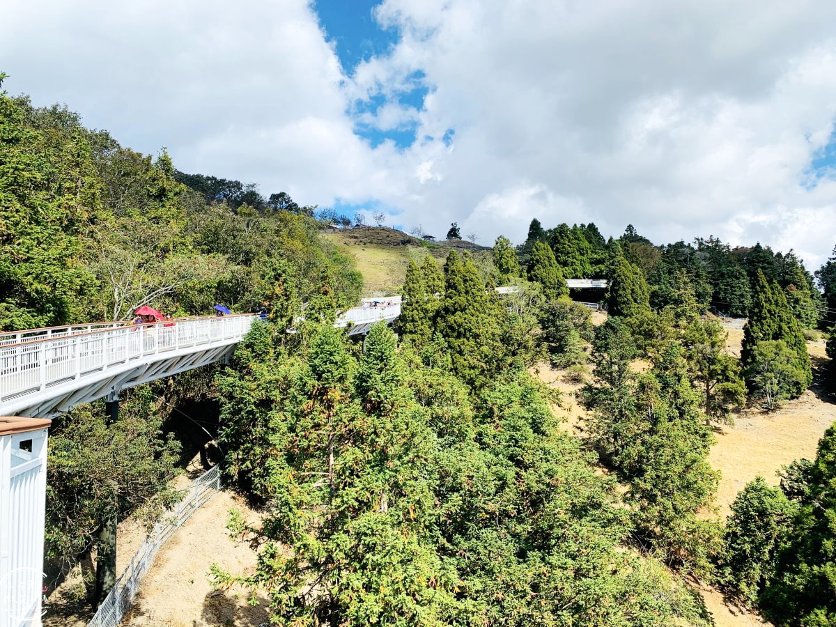 清境高空觀景步道∥漫步雲端,360度絕美視野,壯麗山景盡收眼底!步入夢幻仙境,全長1.2公里浪漫步道 - 第18張圖