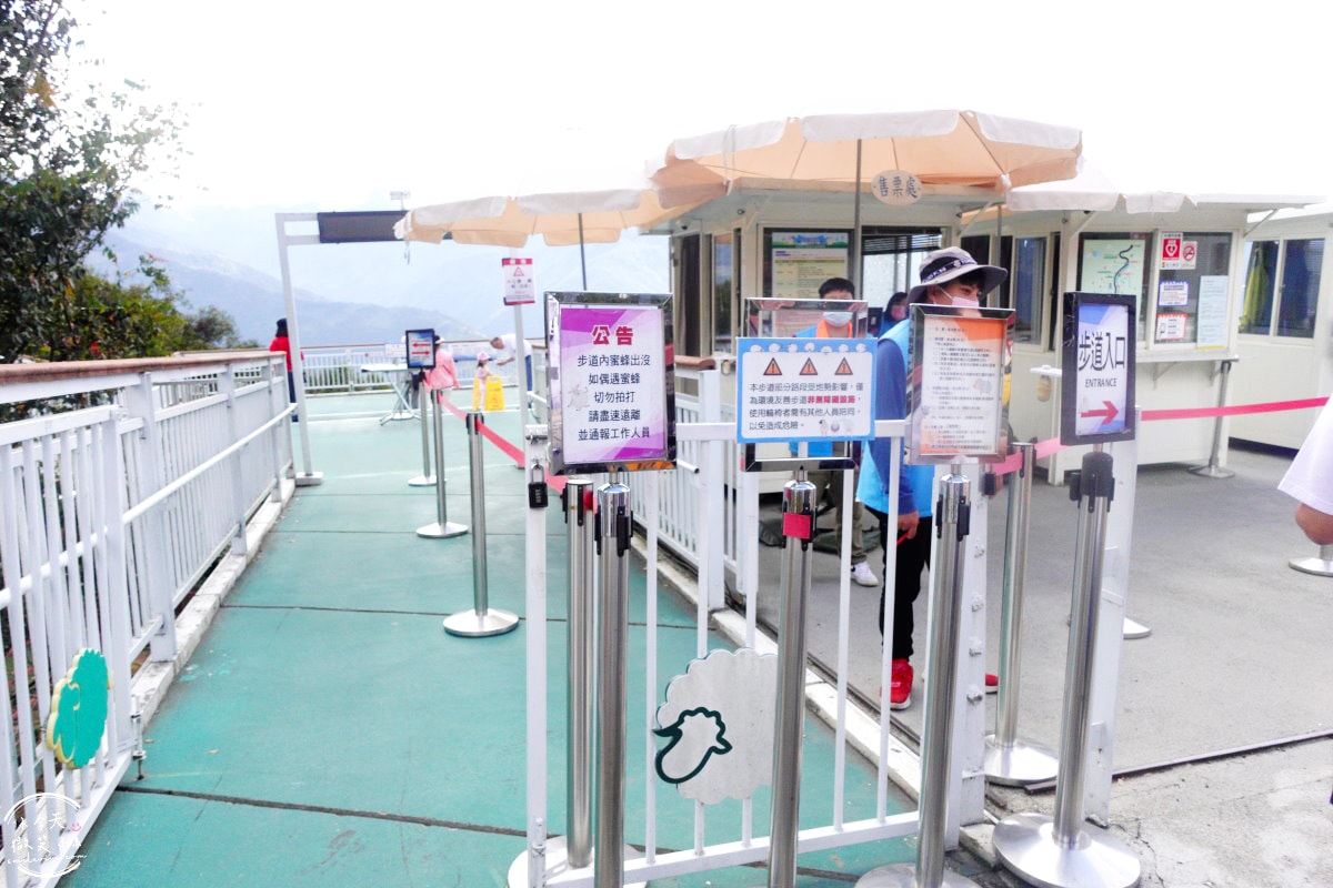 清境高空觀景步道∥漫步雲端,360度絕美視野,壯麗山景盡收眼底!步入夢幻仙境,全長1.2公里浪漫步道 - 第5張圖