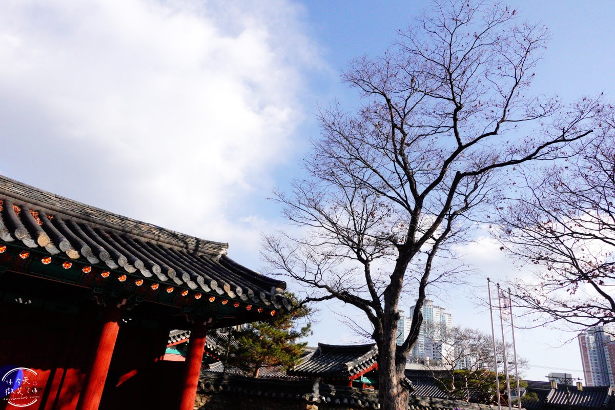 大邱免費景點∥大邱鄉校(대구향교)傳統韓屋古蹟，穿韓服拍照必來︱市中心也有傳統韓國味，古色古香超好逛︱近代胡同觀光主題路線四三德鳳山文化路︱大邱景點