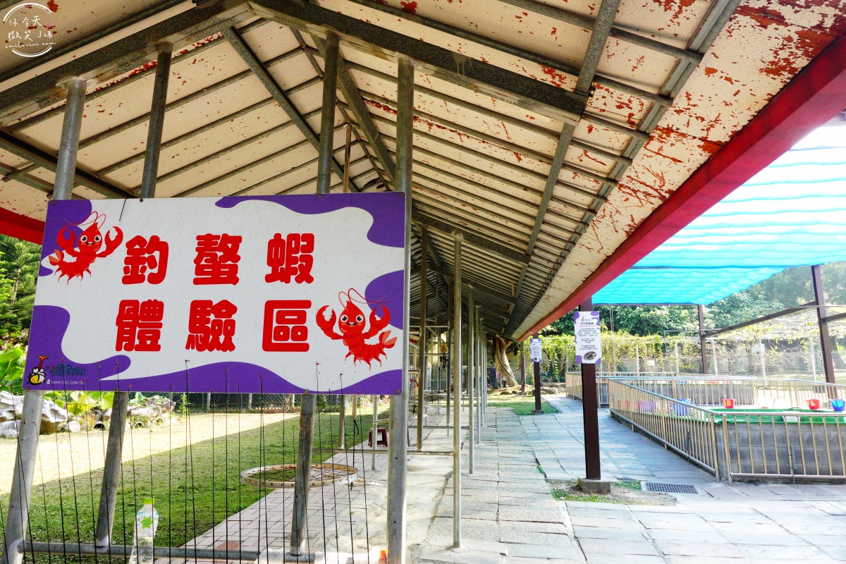 嘉義獨角仙休閒農場∥門票150元可折抵100元︱親子遊的絕佳選擇!生態探險之旅︱溜滑梯、小火車、滑草、電動車、餵馬、釣螯蝦、獨角仙︱嘉義景點 - 第15張圖