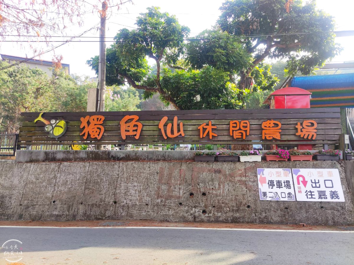 嘉義獨角仙休閒農場∥門票150元可折抵100元︱親子遊的絕佳選擇!生態探險之旅︱溜滑梯、小火車、滑草、電動車、餵馬、釣螯蝦、獨角仙︱嘉義景點 - 第2張圖