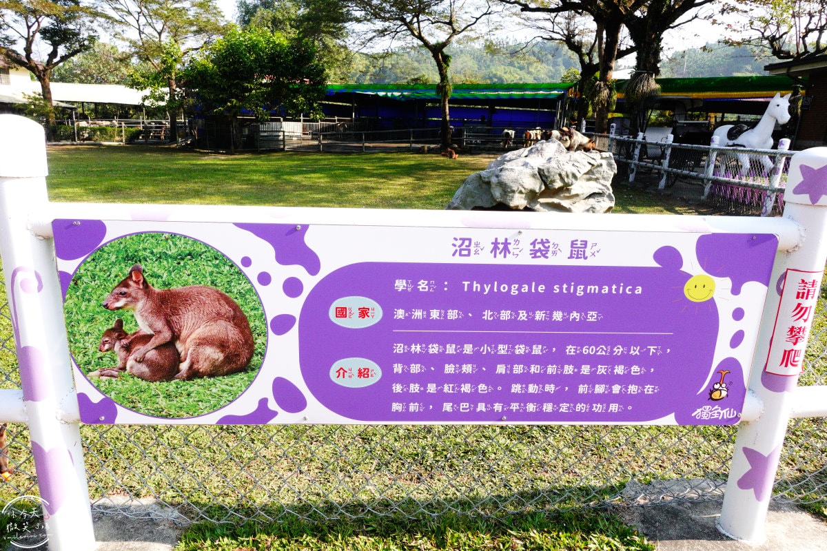 嘉義獨角仙休閒農場∥門票150元可折抵100元︱親子遊的絕佳選擇!生態探險之旅︱溜滑梯、小火車、滑草、電動車、餵馬、釣螯蝦、獨角仙︱嘉義景點 - 第21張圖