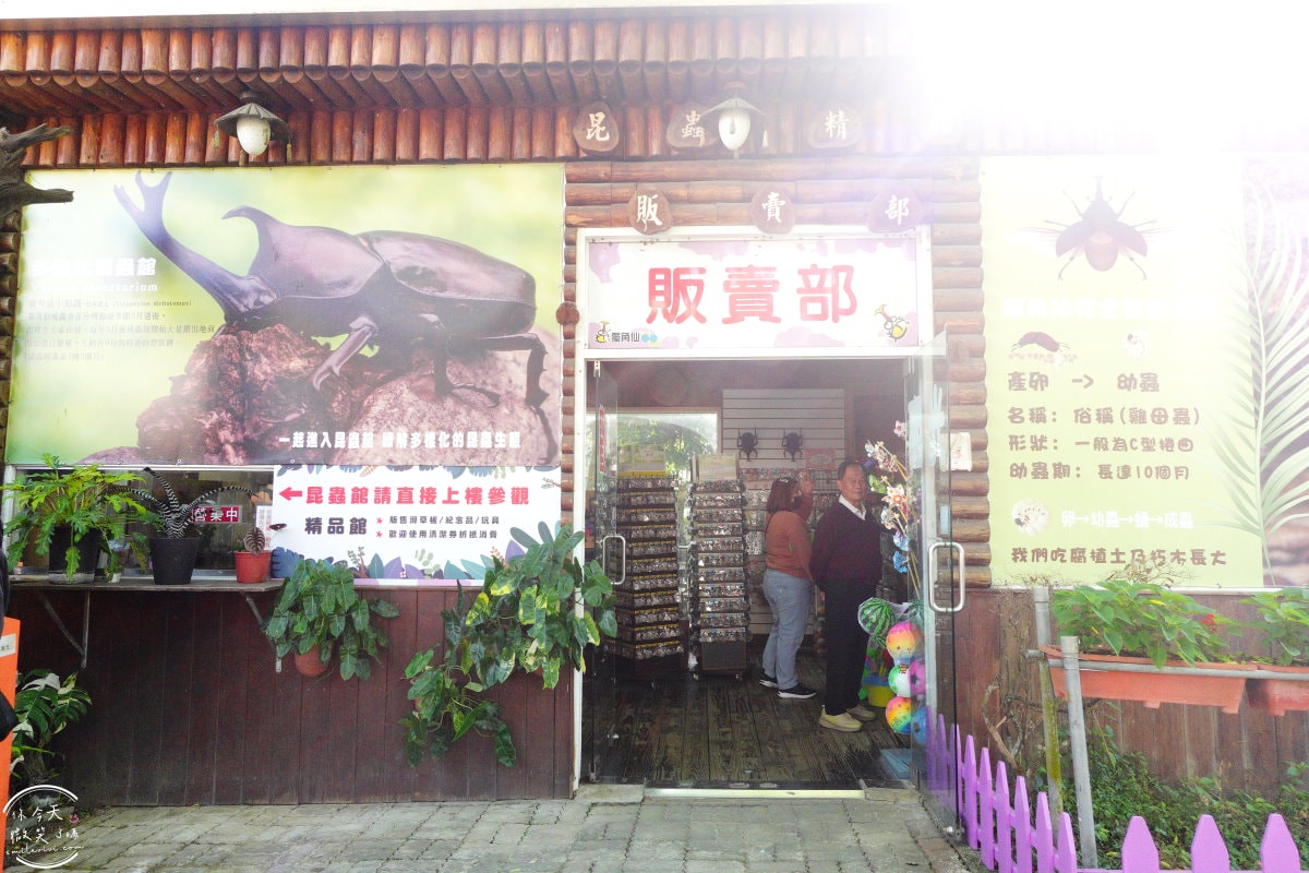 嘉義獨角仙休閒農場∥門票150元可折抵100元︱親子遊的絕佳選擇!生態探險之旅︱溜滑梯、小火車、滑草、電動車、餵馬、釣螯蝦、獨角仙︱嘉義景點 - 第28張圖