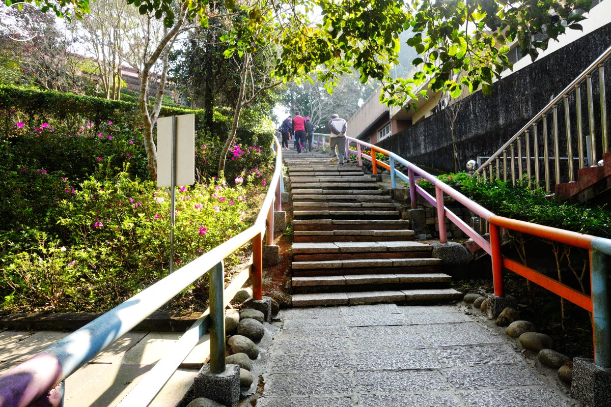嘉義獨角仙休閒農場∥門票150元可折抵100元︱親子遊的絕佳選擇!生態探險之旅︱溜滑梯、小火車、滑草、電動車、餵馬、釣螯蝦、獨角仙︱嘉義景點 - 第6張圖