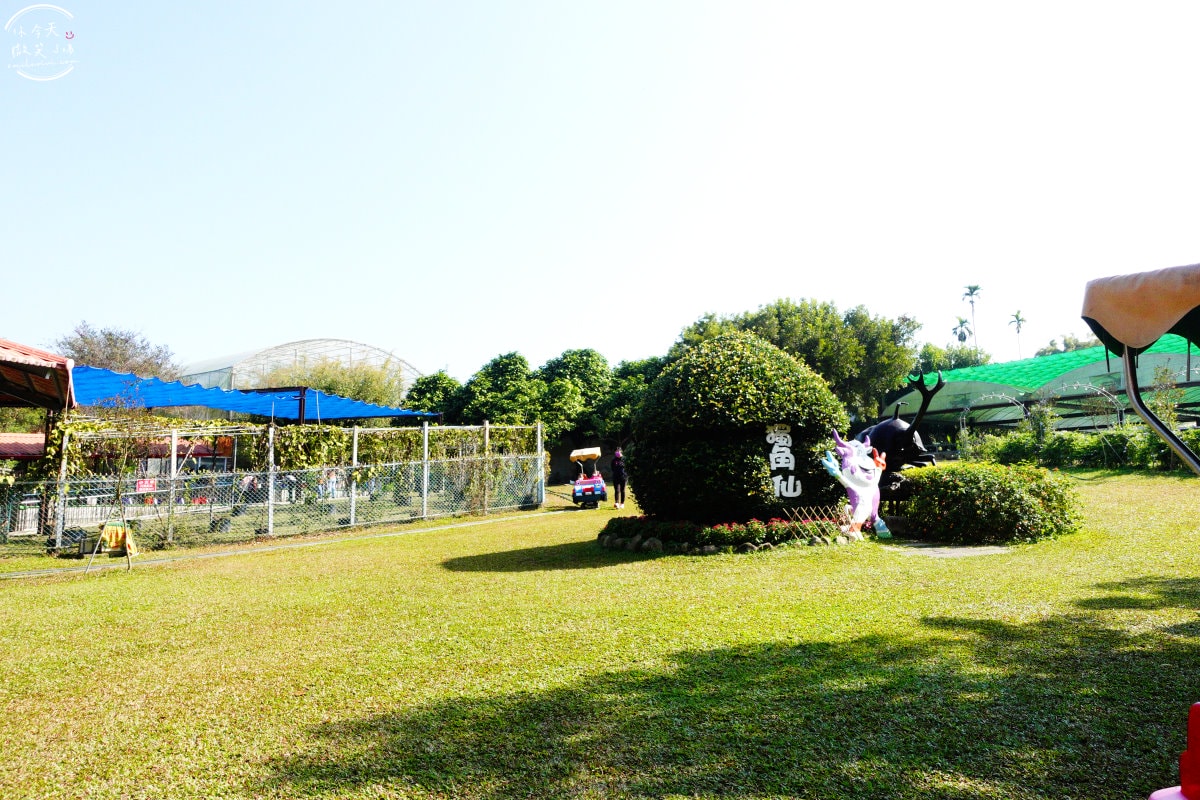 嘉義獨角仙休閒農場∥門票150元可折抵100元︱親子遊的絕佳選擇!生態探險之旅︱溜滑梯、小火車、滑草、電動車、餵馬、釣螯蝦、獨角仙︱嘉義景點 - 第7張圖