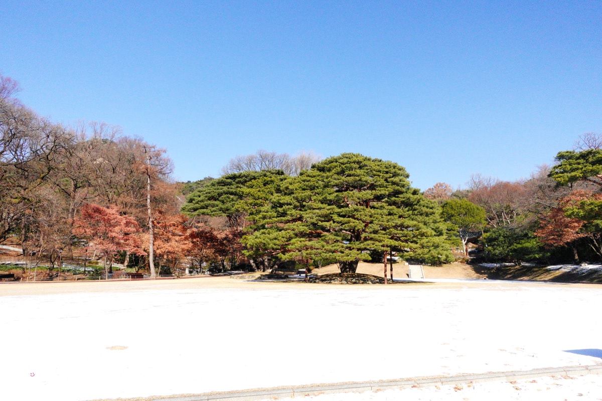 首爾青瓦台(청와대)∥韓國總統府青瓦台預約,參觀申請教學、總統辦公室、生活起居一覽無遺︱青瓦台如何去?青瓦台參觀路線 - 第98張圖