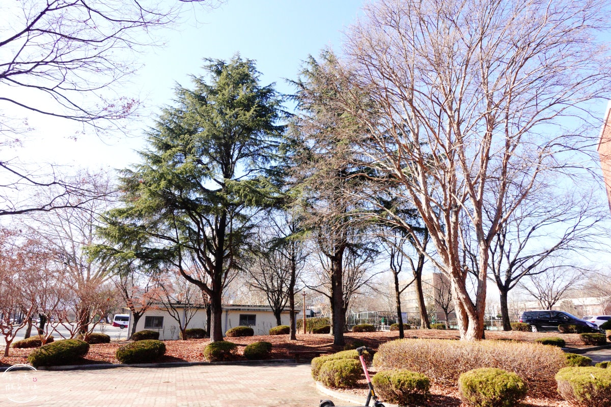 大邱嶺南大學(영남대학교)∥全韓國校區第二大,韓國總統朴正熙創立的名校︱20樓高中央圖書館、音樂系教室︱大邱地鐵景點 - 第4張圖 大邱嶺南大學