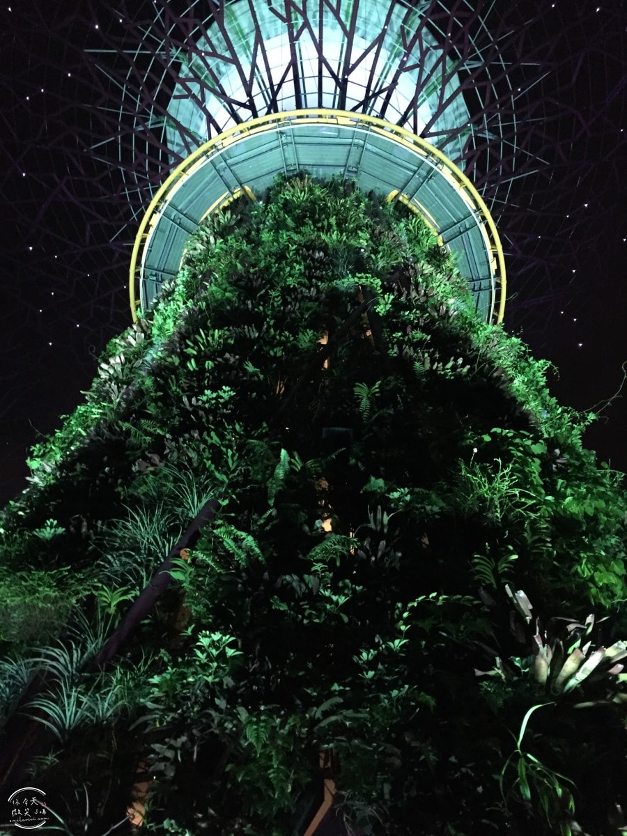 新加坡夜間最美燈光秀∥超級樹燈光秀Supertree Grove每晚19:45、20:45免費開演︱OCBC Skyway 15 分鐘極致視覺享受,超級樹燈光秀資訊全攻略,擎天樹燈光秀 - 第93張圖