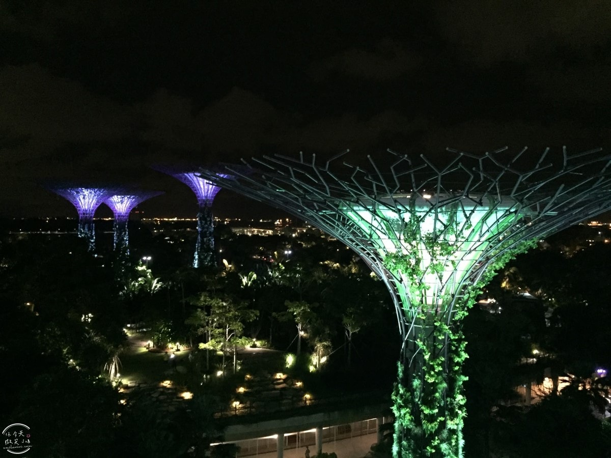 新加坡夜間最美燈光秀∥超級樹燈光秀Supertree Grove每晚19:45、20:45免費開演︱OCBC Skyway 15 分鐘極致視覺享受,超級樹燈光秀資訊全攻略,擎天樹燈光秀 - 第94張圖