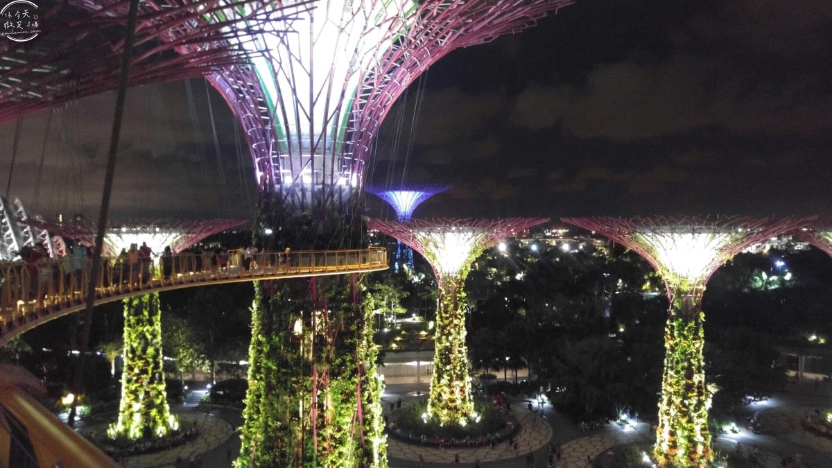 新加坡夜間最美燈光秀∥超級樹燈光秀Supertree Grove每晚19:45、20:45免費開演︱OCBC Skyway 15 分鐘極致視覺享受,超級樹燈光秀資訊全攻略,擎天樹燈光秀 - 第96張圖
