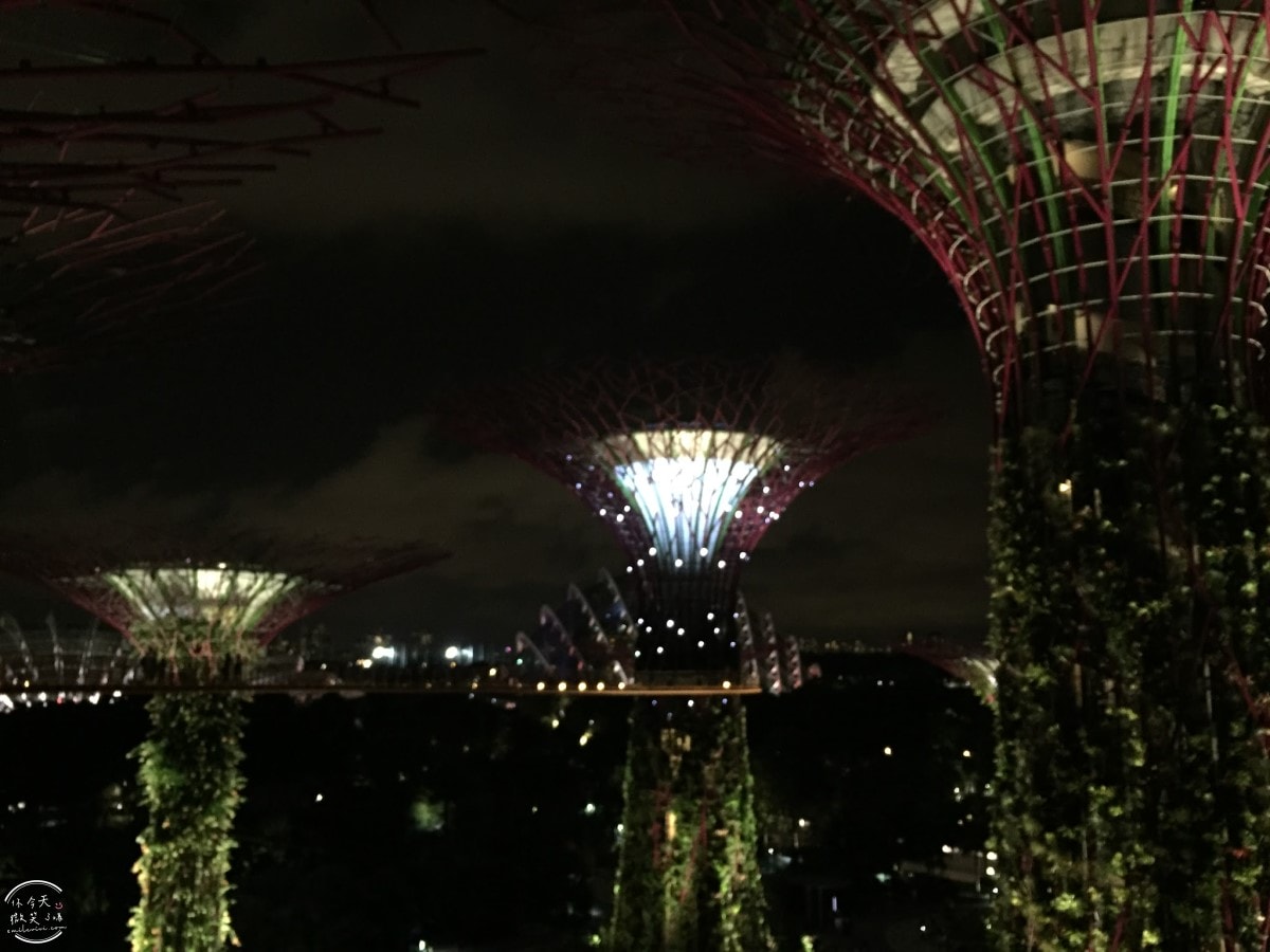 新加坡夜間最美燈光秀∥超級樹燈光秀Supertree Grove每晚19:45、20:45免費開演︱OCBC Skyway 15 分鐘極致視覺享受,超級樹燈光秀資訊全攻略,擎天樹燈光秀 - 第101張圖