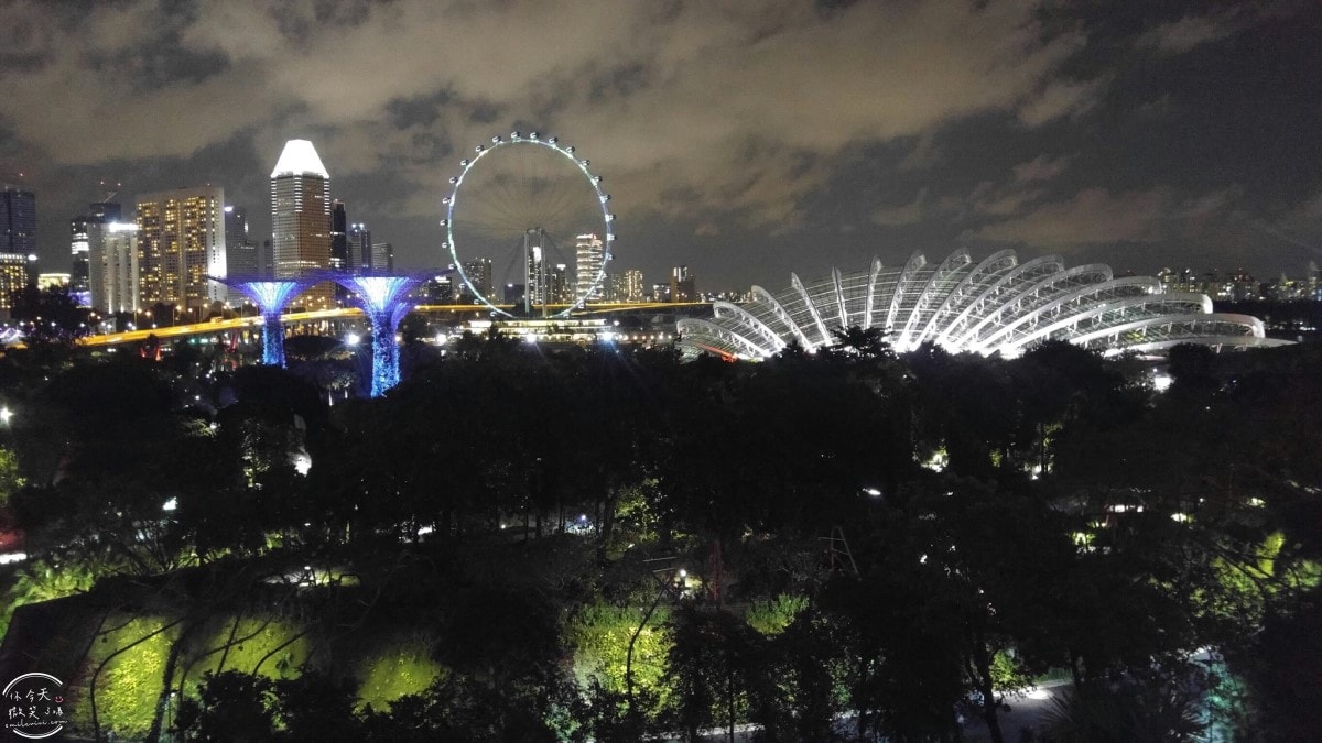 新加坡夜間最美燈光秀∥超級樹燈光秀Supertree Grove每晚19:45、20:45免費開演︱OCBC Skyway 15 分鐘極致視覺享受,超級樹燈光秀資訊全攻略,擎天樹燈光秀 - 第105張圖