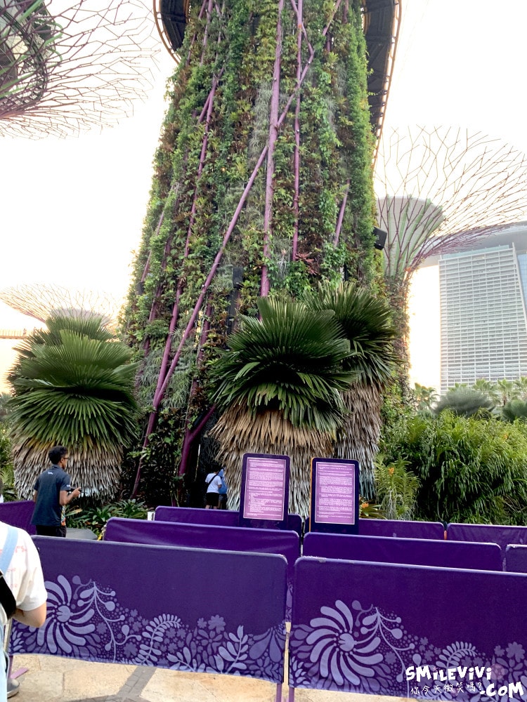 新加坡夜間最美燈光秀∥超級樹燈光秀Supertree Grove每晚19:45、20:45免費開演︱OCBC Skyway 15 分鐘極致視覺享受,超級樹燈光秀資訊全攻略,擎天樹燈光秀 - 第90張圖