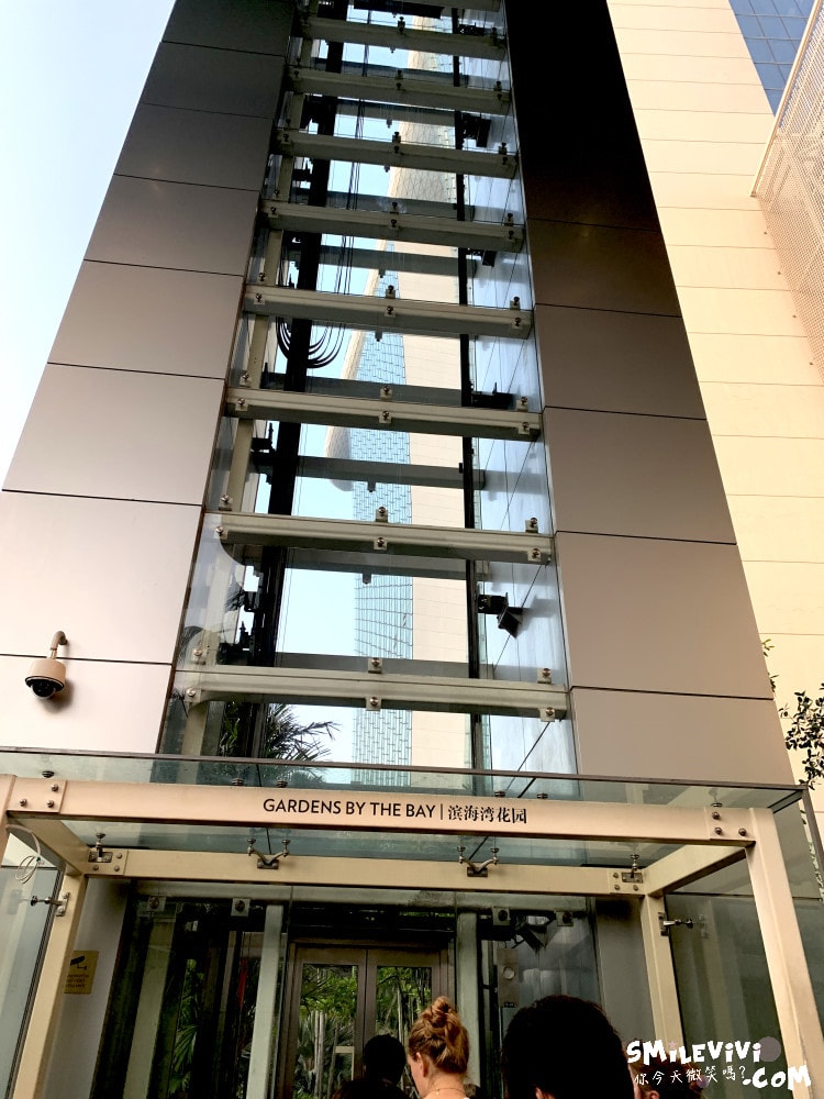 新加坡夜間最美燈光秀∥超級樹燈光秀Supertree Grove每晚19:45、20:45免費開演︱OCBC Skyway 15 分鐘極致視覺享受,超級樹燈光秀資訊全攻略,擎天樹燈光秀 - 第5張圖