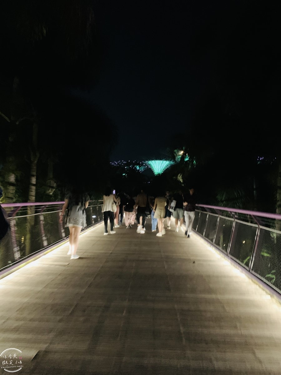 新加坡夜間最美燈光秀∥超級樹燈光秀Supertree Grove每晚19:45、20:45免費開演︱OCBC Skyway 15 分鐘極致視覺享受,超級樹燈光秀資訊全攻略,擎天樹燈光秀 - 第37張圖