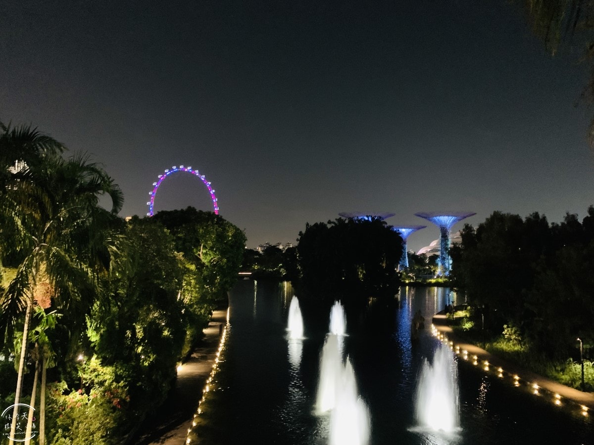 新加坡夜間最美燈光秀∥超級樹燈光秀Supertree Grove每晚19:45、20:45免費開演︱OCBC Skyway 15 分鐘極致視覺享受,超級樹燈光秀資訊全攻略,擎天樹燈光秀 - 第33張圖