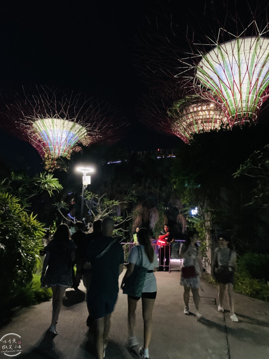 新加坡夜間最美燈光秀∥超級樹燈光秀Supertree Grove每晚19:45、20:45免費開演︱OCBC Skyway 15 分鐘極致視覺享受,超級樹燈光秀資訊全攻略,擎天樹燈光秀 - 第91張圖