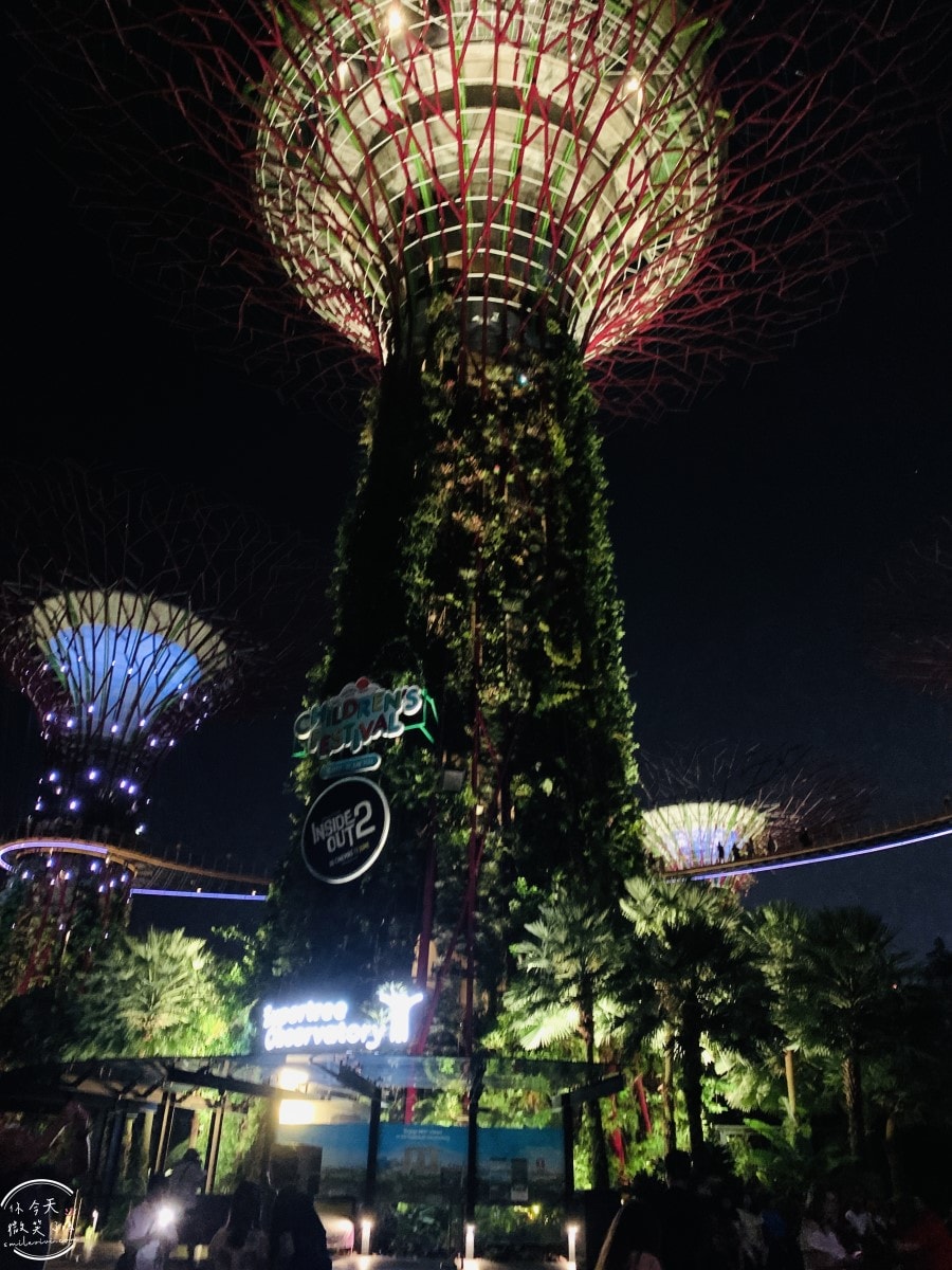 新加坡夜間最美燈光秀∥超級樹燈光秀Supertree Grove每晚19:45、20:45免費開演︱OCBC Skyway 15 分鐘極致視覺享受,超級樹燈光秀資訊全攻略,擎天樹燈光秀 - 第64張圖