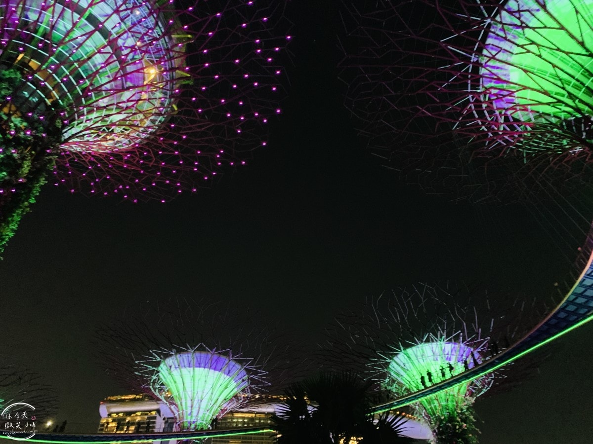 新加坡夜間最美燈光秀∥超級樹燈光秀Supertree Grove每晚19:45、20:45免費開演︱OCBC Skyway 15 分鐘極致視覺享受,超級樹燈光秀資訊全攻略,擎天樹燈光秀 - 第73張圖