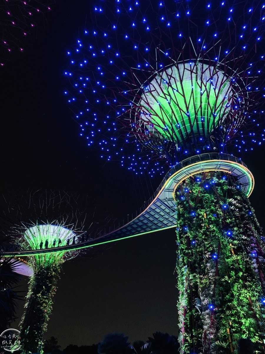 新加坡夜間最美燈光秀∥超級樹燈光秀Supertree Grove每晚19:45、20:45免費開演︱OCBC Skyway 15 分鐘極致視覺享受,超級樹燈光秀資訊全攻略,擎天樹燈光秀 - 第74張圖