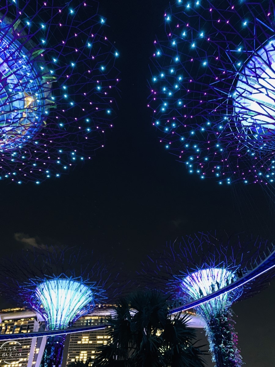 新加坡夜間最美燈光秀∥超級樹燈光秀Supertree Grove每晚19:45、20:45免費開演︱OCBC Skyway 15 分鐘極致視覺享受,超級樹燈光秀資訊全攻略,擎天樹燈光秀 - 第75張圖