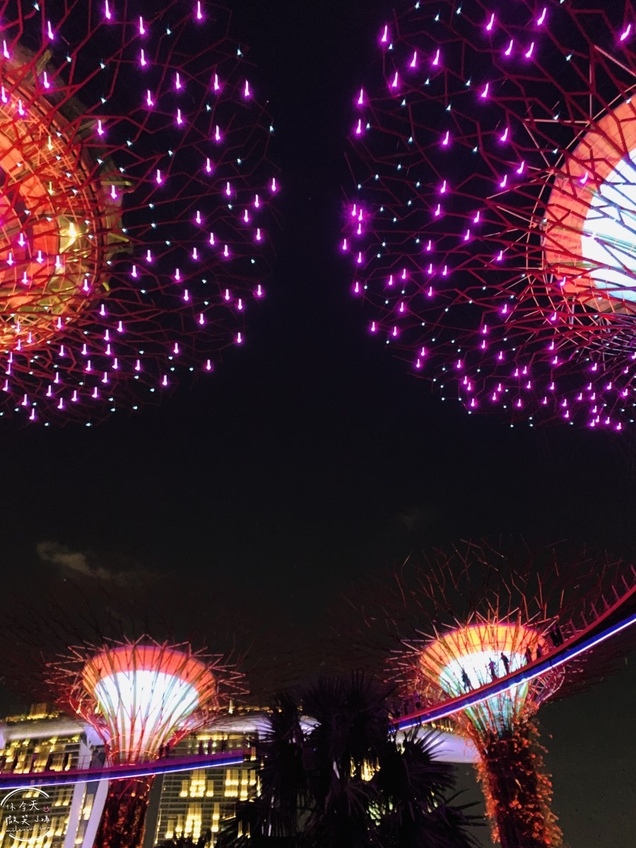 新加坡夜間最美燈光秀∥超級樹燈光秀Supertree Grove每晚19:45、20:45免費開演︱OCBC Skyway 15 分鐘極致視覺享受,超級樹燈光秀資訊全攻略,擎天樹燈光秀 - 第76張圖