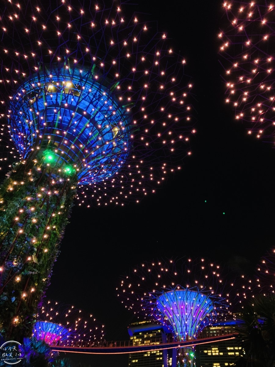 新加坡夜間最美燈光秀∥超級樹燈光秀Supertree Grove每晚19:45、20:45免費開演︱OCBC Skyway 15 分鐘極致視覺享受,超級樹燈光秀資訊全攻略,擎天樹燈光秀 - 第83張圖