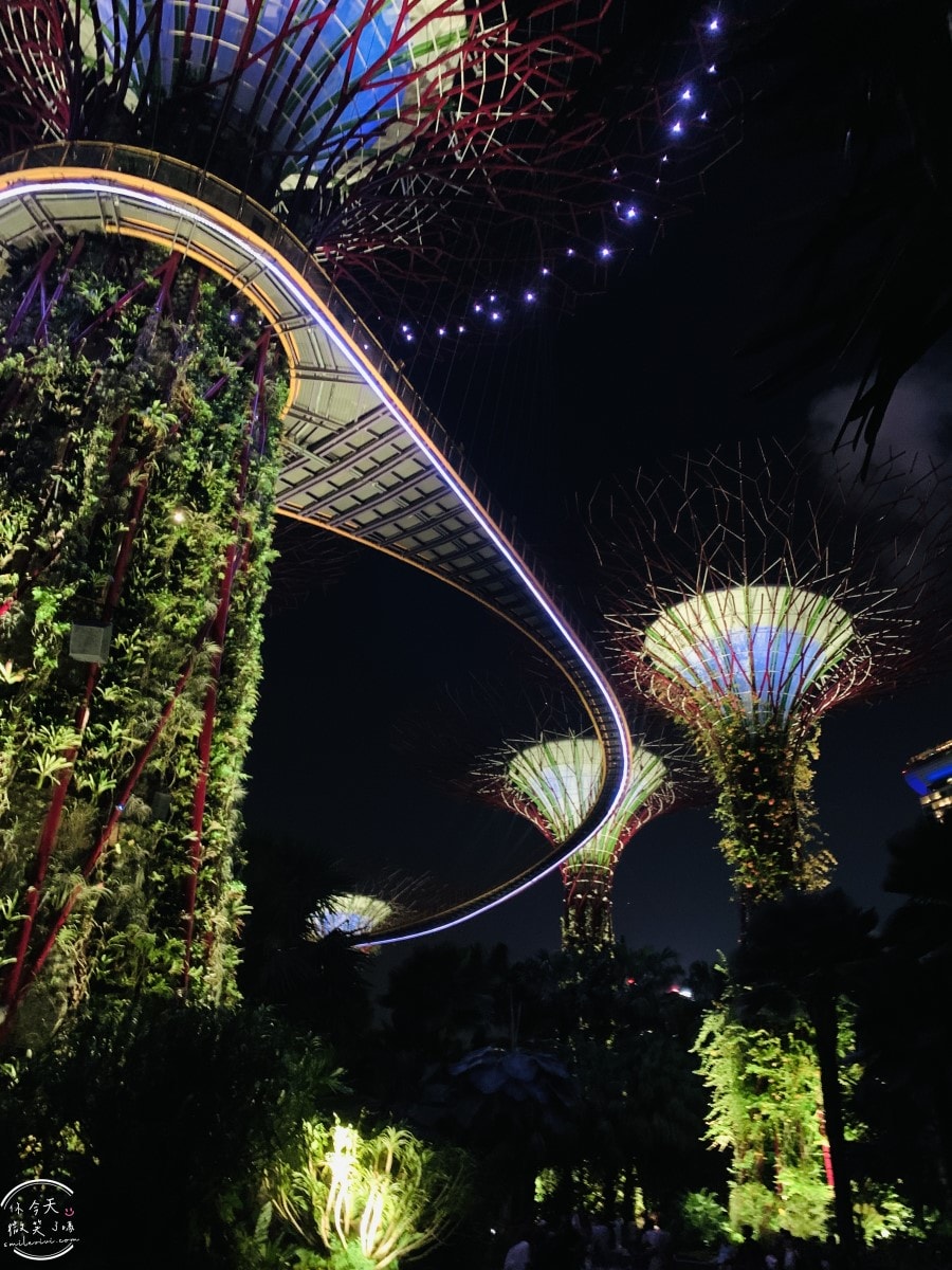 新加坡夜間最美燈光秀∥超級樹燈光秀Supertree Grove每晚19:45、20:45免費開演︱OCBC Skyway 15 分鐘極致視覺享受,超級樹燈光秀資訊全攻略,擎天樹燈光秀 - 第85張圖