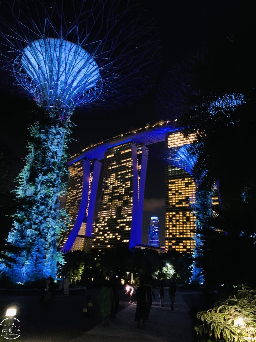 新加坡夜間最美燈光秀∥超級樹燈光秀Supertree Grove每晚19:45、20:45免費開演︱OCBC Skyway 15 分鐘極致視覺享受,超級樹燈光秀資訊全攻略,擎天樹燈光秀 - 第112張圖