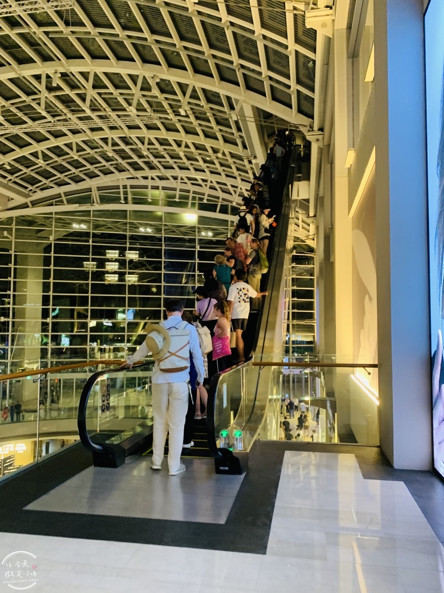 新加坡夜間最美燈光秀∥超級樹燈光秀Supertree Grove每晚19:45、20:45免費開演︱OCBC Skyway 15 分鐘極致視覺享受,超級樹燈光秀資訊全攻略,擎天樹燈光秀 - 第11張圖