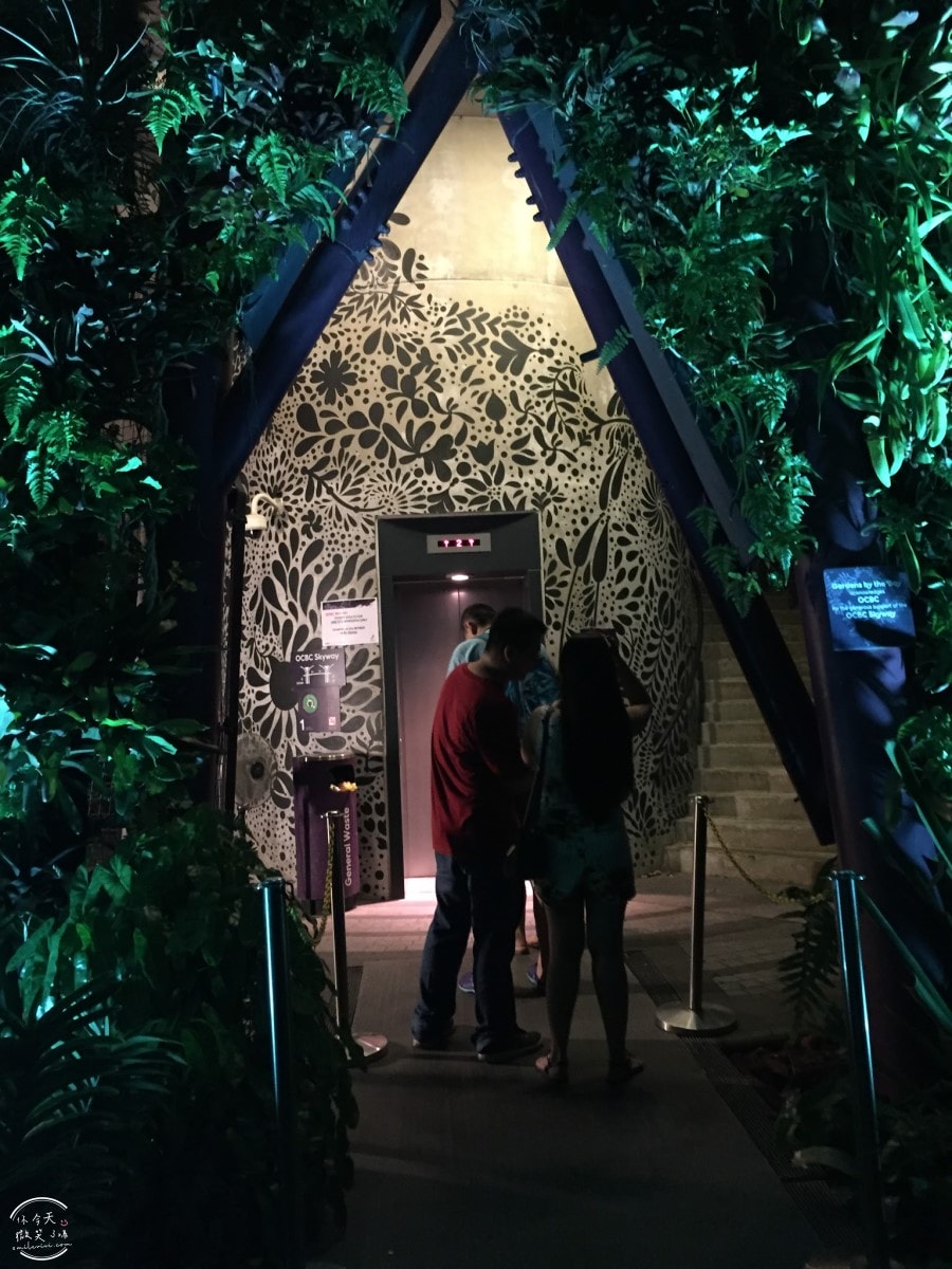 新加坡夜間最美燈光秀∥超級樹燈光秀Supertree Grove每晚19:45、20:45免費開演︱OCBC Skyway 15 分鐘極致視覺享受,超級樹燈光秀資訊全攻略,擎天樹燈光秀 - 第92張圖