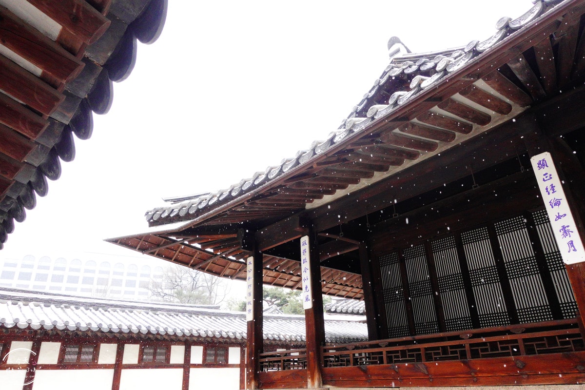 首爾雲峴宮(운현궁)∥免費入場,最低調的古宮秘境︱雲峴宮冬日雪景拍照太夢幻!網美必拍景點,首爾必訪古宮︱韓國自由行,安國站4號出口景點(안국역) - 第18張圖