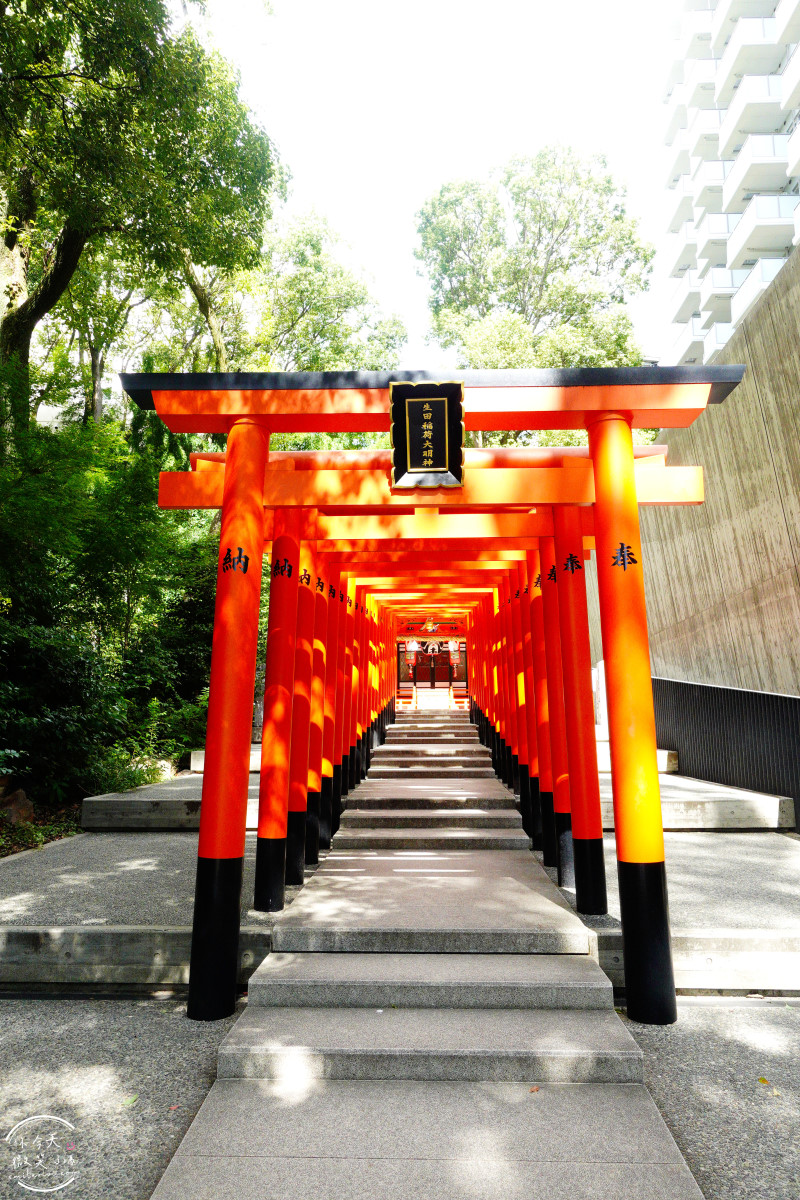 神戶必訪景點∥神戶生田神社,超夢幻「水占卜籤」,日本戀愛神社巡禮︱御守種類一次看!求戀愛運、健康運、事業運一次搞定! - 第26張圖 神戶生田神社