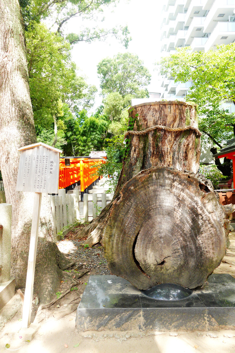 神戶必訪景點∥神戶生田神社,超夢幻「水占卜籤」,日本戀愛神社巡禮︱御守種類一次看!求戀愛運、健康運、事業運一次搞定! - 第37張圖 神戶生田神社