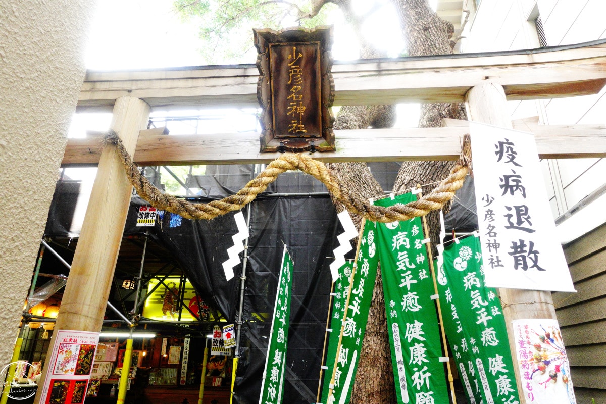 大阪必訪神社∥少彥名神社參拜攻略，藥之神守護的療癒神社︱藥祖神守護健康！求健康、保平安！體驗日本「藥之街」文化︱大阪私房隱藏景點